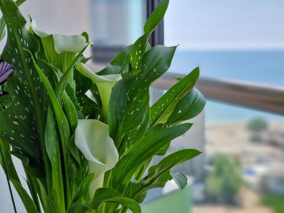 Panoramic Aparthotel Pool & Spa Mamaia Nord Năvodari Kültér fotó